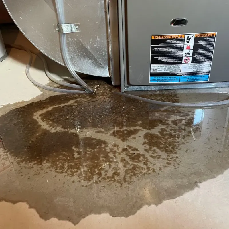 Pipe Burst and Leak Restoration in Washington County, OH