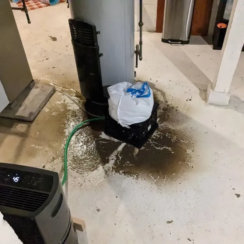 Sewage Backup Cleanup Service in Washington County, OH